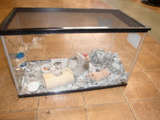 CIMG3249.JPG