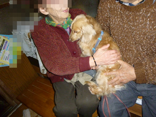 P1110048 henn.jpg