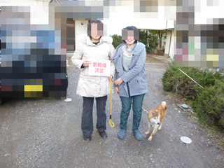 P1110189 henn.jpg